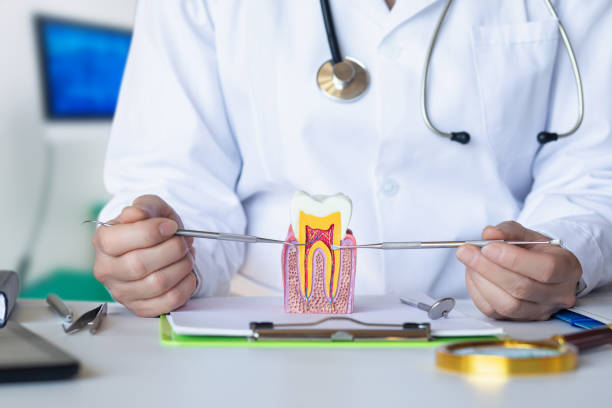 Best Emergency Dental Services for Seniors in Hardeeville, SC